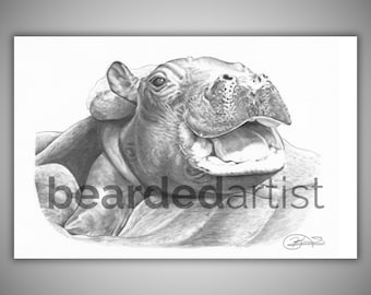 Baby Hippo Graphite Drawing – Wildlife Nursery Art Print