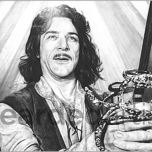 Inigo Montoya From the Princess Bride Fine Art guide My Sword Princess ...