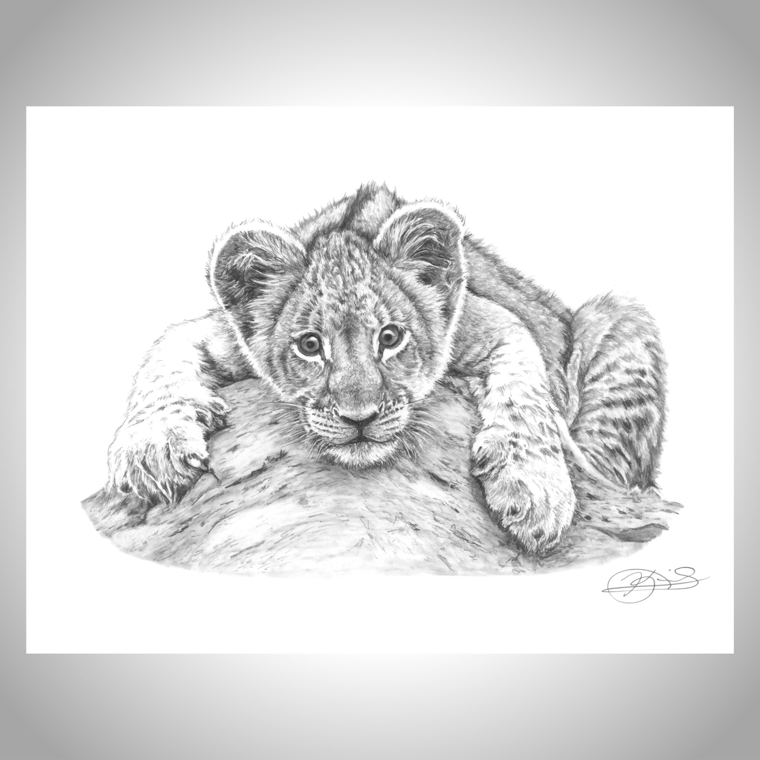 Lion Cub Baby Lion Lion Print Lion Cub Playing Nursery Etsy Lion Cub Baby Lion Lion Print Lion Cub Playing Nursery Etsy