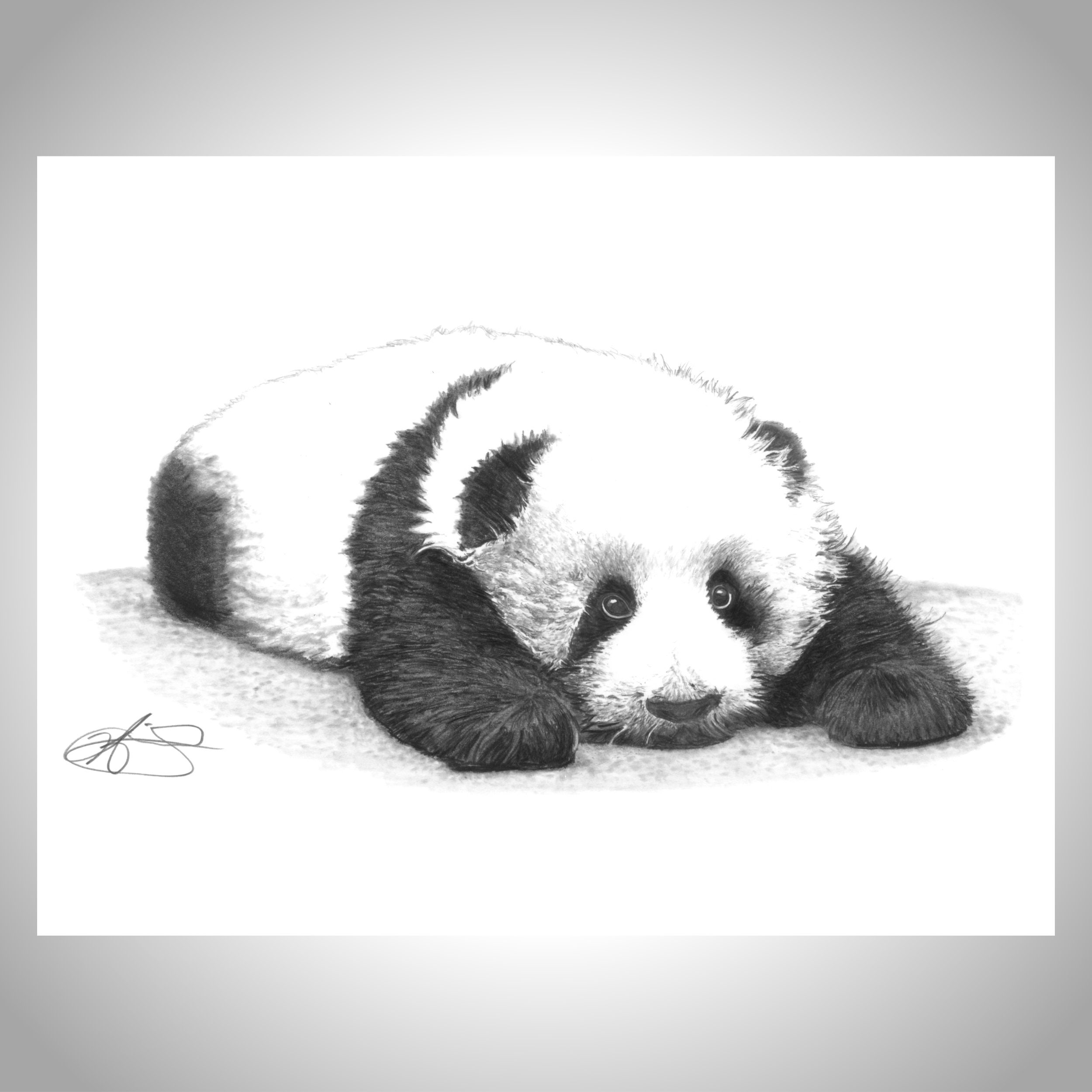 Panda Baby Art Cute Animal Art Baby Animal Print Nursery Etsy