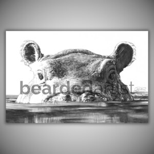 Toddler Hippo – Wildlife Pencil Drawing | Baby Hippo Wall Art | Nature & Nursery Animal Decor