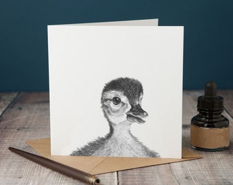 Peeping Duck Card, blank greetings card with peeping duckling from a pencil illustration