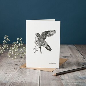 K ist für Kestrel! typografische kestrel Karte, monochrome schwarz-weiße Karte, Stift- und Tintenzeichnung, handgezeichnete Karte