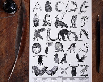 Animal Alphabet print