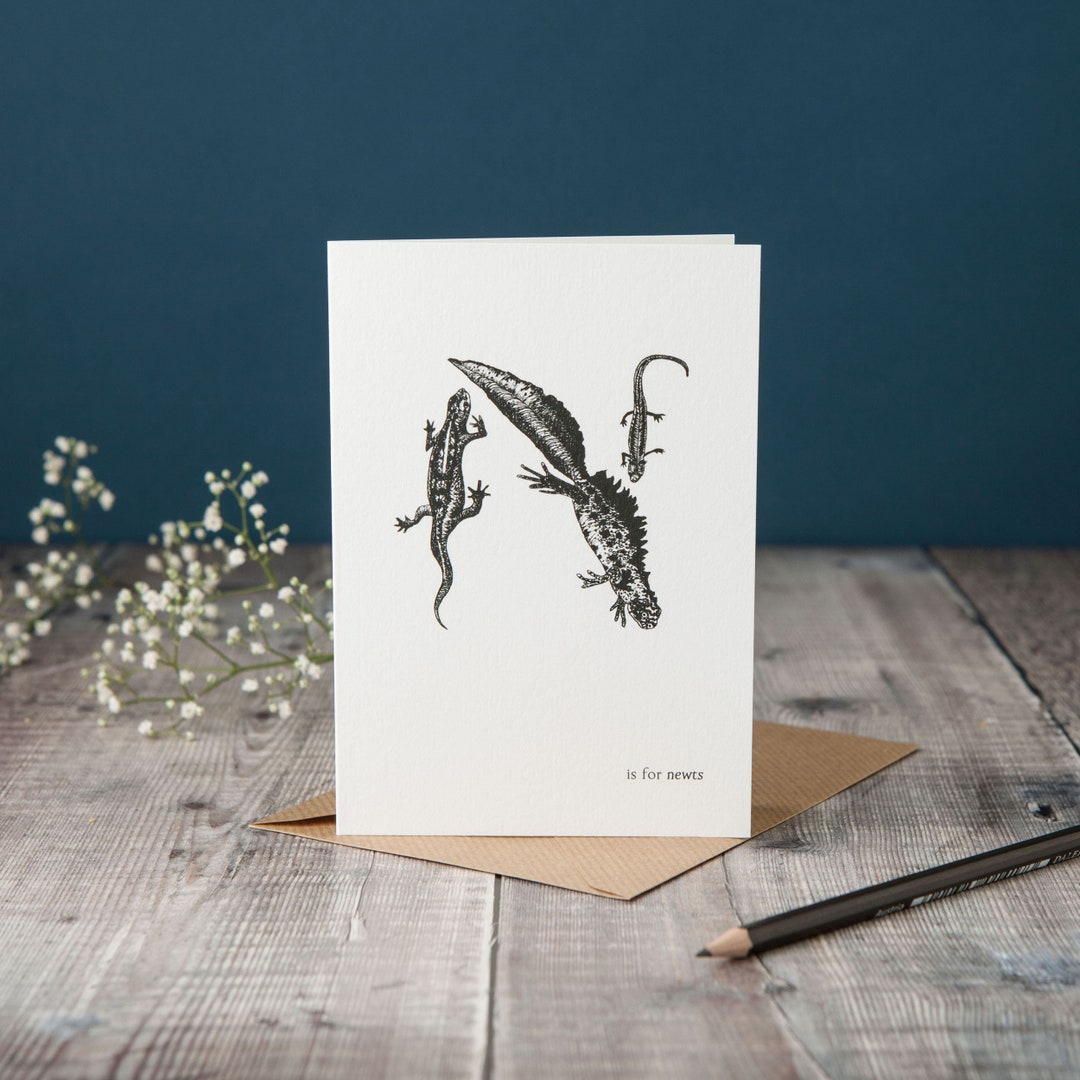 Newt Labelling Newt Card: Initial N, Pen and Ink Illustration - Etsy