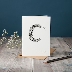 C wie Raupe! typografische Karte mit Raupe, monochrome schwarzweiß Karte, Rohrfederzeichnung, handgezeichnete Karte
