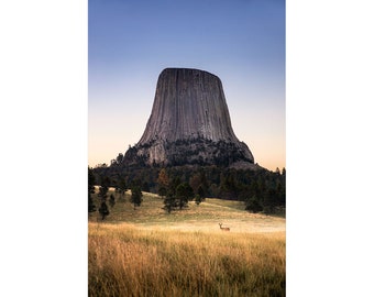 Devils Tower Photography | Misty Morning Deer | Devils Tower Wyoming Print, Devils Tower National Monument Wall Art, Hulett Wyoming Photo