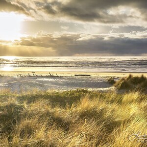 May include: A scenic landscape photograph of a beach at sunset. The sky is filled with dramatic clouds, and the sun is breaking through, casting golden light on the ocean and sand dunes. The foreground features tall, dry grasses.