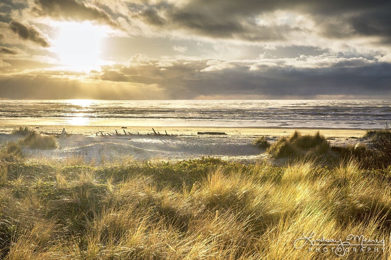 May include: A scenic landscape photograph of a beach at sunset. The sky is filled with dramatic clouds, and the sun is breaking through, casting golden light on the ocean and sand dunes. The foreground features tall, dry grasses.