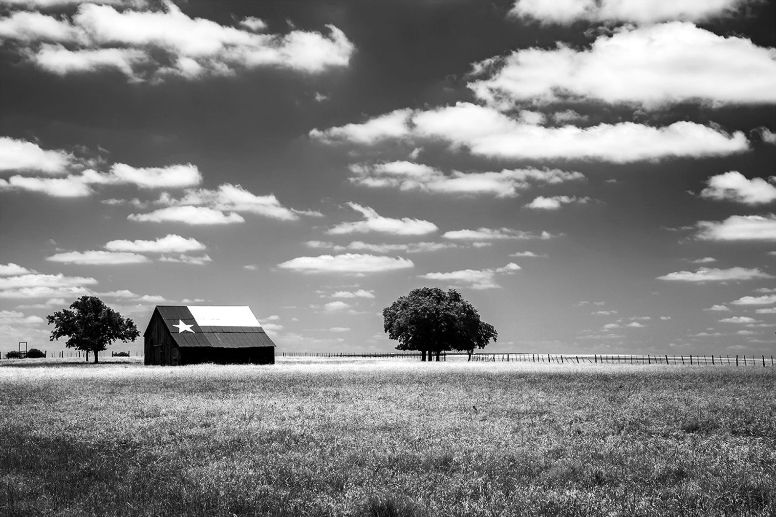 B&W Texas Photography Black and White Texas Flag Barn View | Etsy