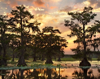 Swamp Photo Print | "Caddo Lake Sunrise" | Texas Landscape Photography Photo - Louisiana Photography - Texas Cypress Bayou Print