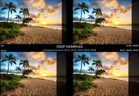 Hawaii Beach Print | 