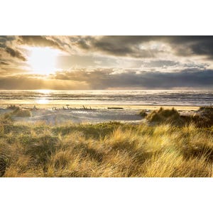 Oregon Photo, Heceta Beach Dunes Golden View, Florence Oregon Wall Art, Sand Dunes Beach Print, Oregon Home Decor, Oregon Coast Photography