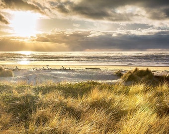 Beach Sand Dunes Photo | "Heceta Beach Dunes" | Florence Oregon Wall Art - Sand Dunes Beach Print - Oregon Beach Home Decor - Oregon Sunset