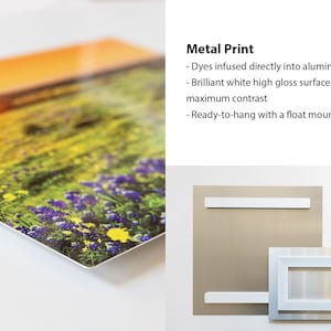 May include: A metal print of a field of wildflowers with a sunset in the background. The print is ready to hang with a float mount.