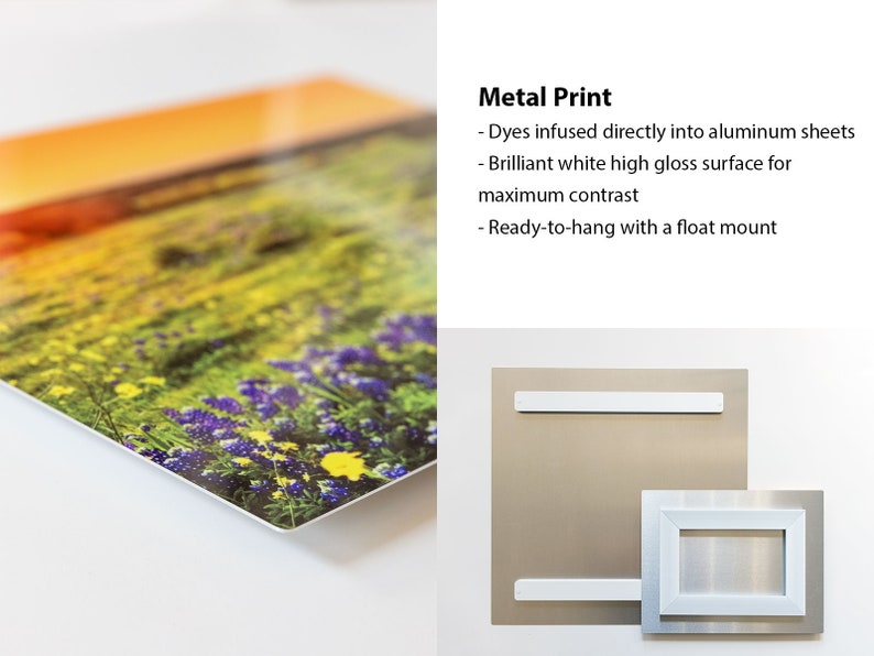 May include: A metal print of a field of wildflowers with a sunset in the background. The print is ready to hang with a float mount.