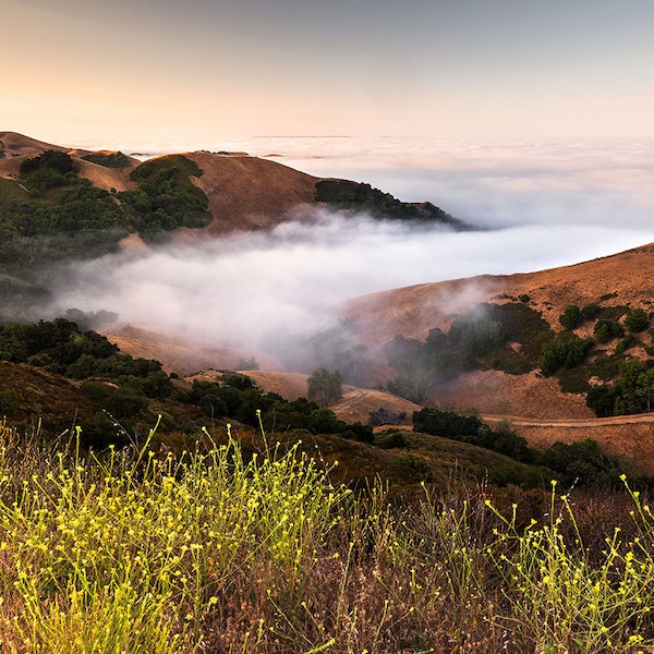 Paso Robles Photo | Above the Clouds | Central Coast California Photo, California Marine Layer Print, Highway 46 Photo, Paso Robles Wall Art