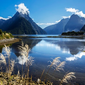 Milford Sound Harbor View | New Zealand Landscape Photo, Fiordland National Park Photo Photograph, Scenic New Zealand Picture Wall Art