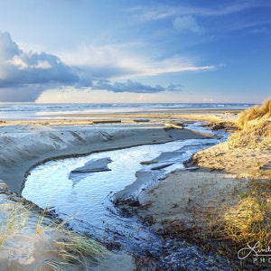 May include: A scenic coastal landscape featuring a stream flowing into the ocean under a partly cloudy sky. The image showcases a sandy beach, dunes with tall grass, and the vast blue sea. The photograph is bathed in natural light.