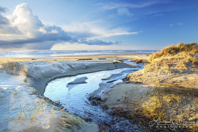 May include: A scenic coastal landscape featuring a stream flowing into the ocean under a partly cloudy sky. The image showcases a sandy beach, dunes with tall grass, and the vast blue sea. The photograph is bathed in natural light.