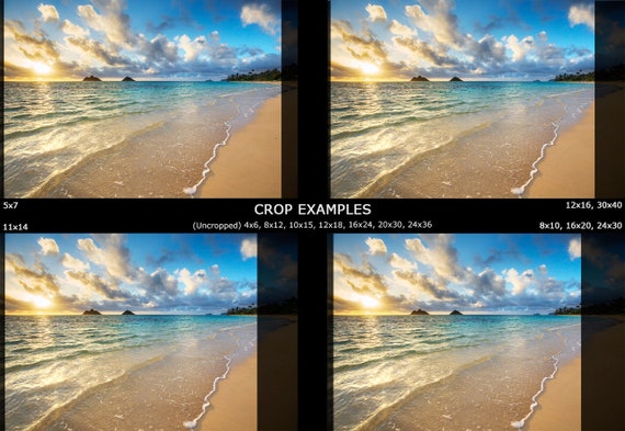 Poster Palmen Insel Mauritius Beach Morning Medium NEU