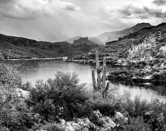 B&W Arizona Canyon Lake Photo, Black and White Apache Trail