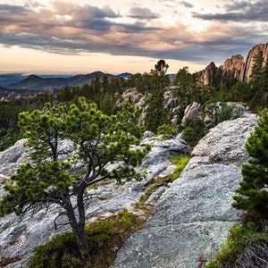 Needles Highway Print | Black Hills Moody Morning View | Custer State Park Print, Black Hills South Dakota Wall Art, South Dakota Photo