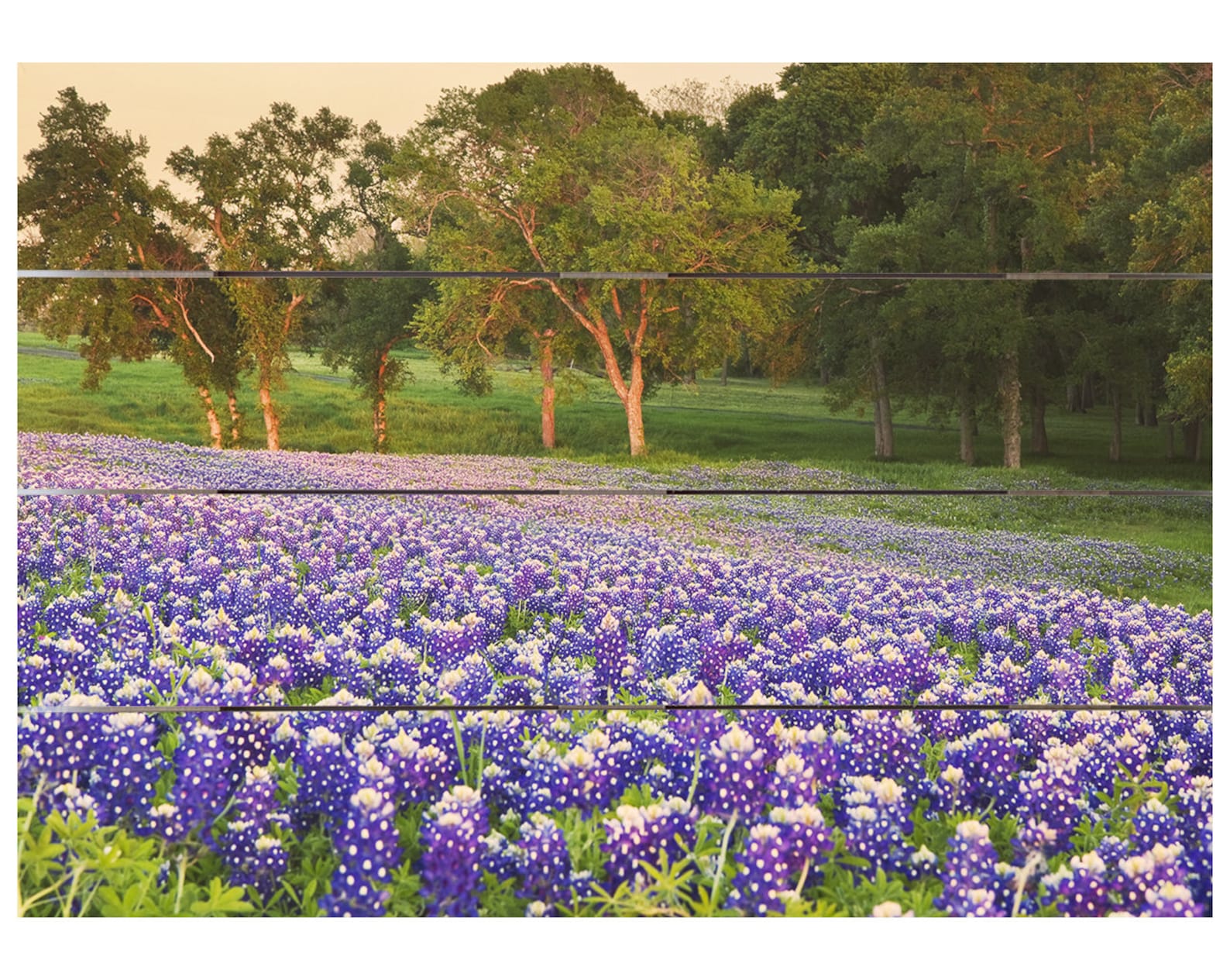 Wood Pallet Wall Art Field Wood Print Etsy