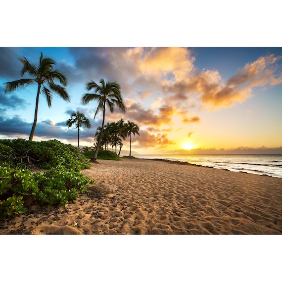nani ahiahi ~Haleiwa beach パステル画 nani ahiahi ~Haleiwa beach パステル画 nani ahiahi ~Haleiwa beach