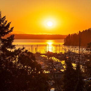Friday Harbor Photo | Sunrise at the Harbor | San Juan Islands Photography, Pacific Northwest Decor, Friday Harbor Washington Print