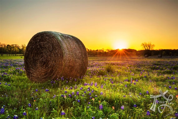 Texas Photo Print Hay Bale View Texas Etsy