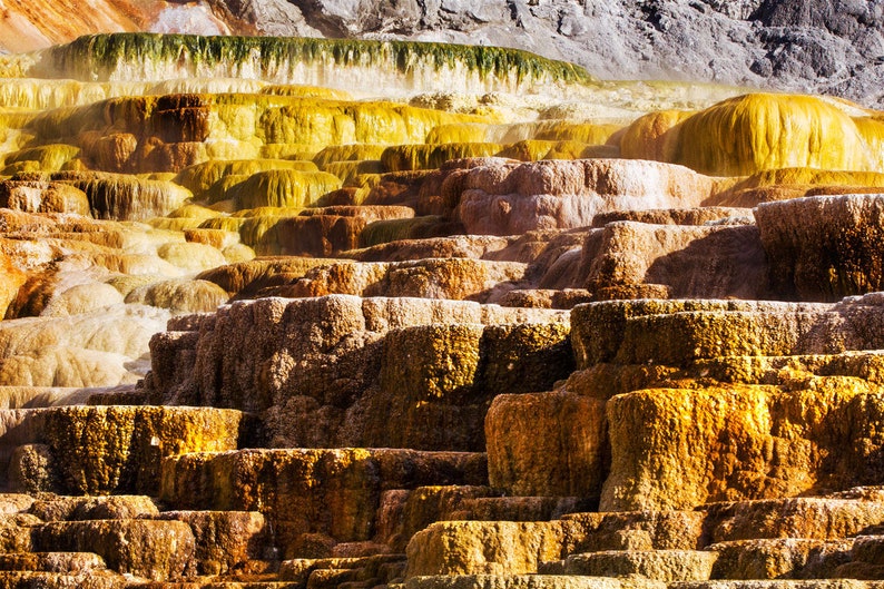 Yellowstone Photo Set Yellowstone National Park Print Etsy