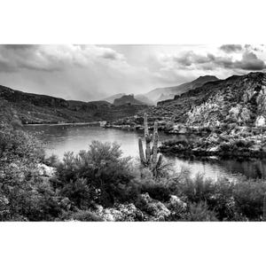 B&W Arizona Canyon Lake Photo, Black and White Apache Trail Arizona Landscape Photography, Saguaro Cactus Print, Phoenix Arizona Wall Art
