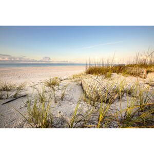 Beach Fence Photo, Gulf Coast Beach Dunes Morning, Gulf Coast Print, Orange Beach Alabama Gulf Coast Decor, Beach Fence Home Decor