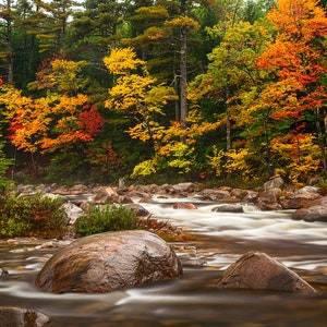 New Hampshire Photo, Swift River View, New England Autumn Print, White Mountain National Forest Photography, New Hampshire Fall Foliage