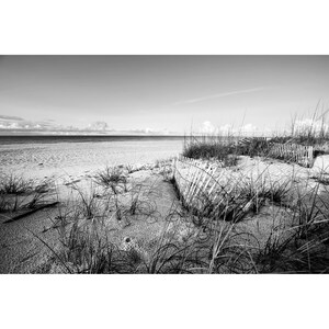 B&W Beach Fence Photo, Gulf Coast Beach Dunes Morning, Black and White Gulf Coast Print, Orange Beach Alabama Gulf Coast Home Decor