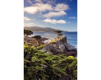 Lone Cypress Print, Vertical Pebble Beach Lone Cypress Tree, Monterey Cypress Tree Photo, Central California Coast Photography