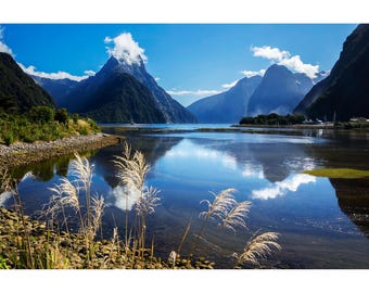 Milford Sound Harbor View, New Zealand Landscape Photo, Fiordland National Park Photo Photograph, Scenic New Zealand Picture Wall Art