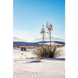 White Sands National Park Print | Vertical Yucca Dunes View | New Mexico Landscape Photography, Southwest Wall Art, White Sands Photo