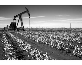 B&W Texas Photography, Pump Jack Cotton Field, Black and White Photography, Texas Pumpjack Decor, Oil and Gas Art, Texas Cotton Field