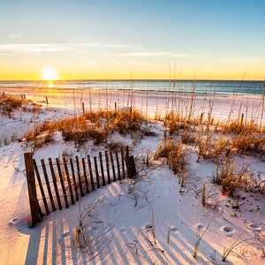 Pensacola Beach Photography | Beach Dunes Pensacola Sunrise Print | Pensacola Beach Florida Photo, Beach Wall Art, Beach Home Decor Photo