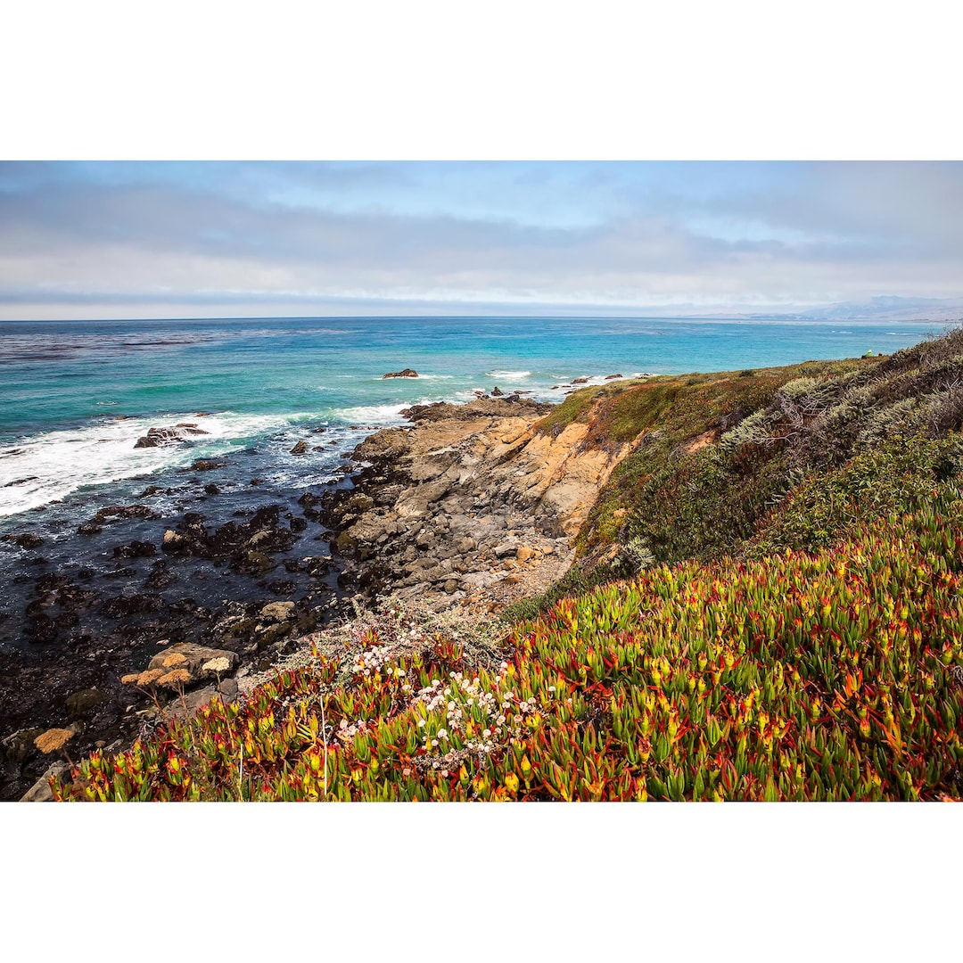 Cambria Print, Cambria Bluffs View, Central Coast California Photo