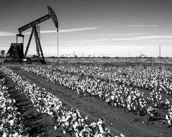 B&W Texas Photography | "Pump Jack Cotton Field" | Black and White Photography - Texas Pumpjack Decor - Oil and Gas Art - Texas Cotton Field