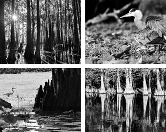 B&W Swamp Photo Set | "Black and White Bayou"  | Black and White Texas Wall Art - Louisiana Swamp Print - Bayou Photo Set - Swamp Print Set