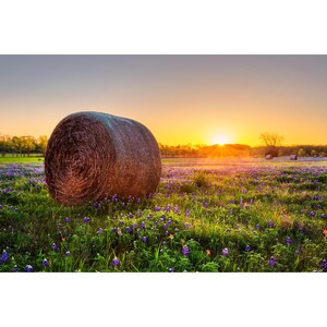 Texas Photo Print, Hay Bale View, Texas Bluebonnets Photography, Rural Texas Print, Hay Bales Home Decor, Rustic Wall Art