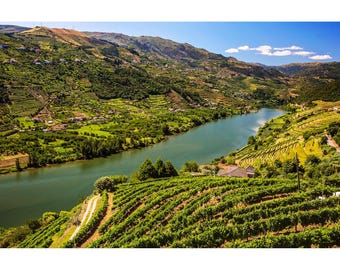 Portugal Photo Print, Douro River Valley, Portugal Wine Country Photography, Wine Wall Art Picture, Vineyard Wall Art