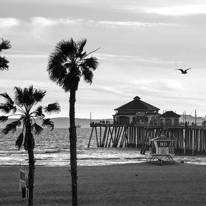 B&W Huntington Beach Photo | Black and White Palm Tree Pier View | Huntington Beach Pier Photography, HB Pier Wall Art, Coastal Print