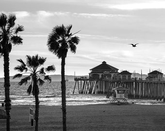 B&W Huntington Beach Photo | Black and White Palm Tree Pier View | Huntington Beach Pier Photography, HB Pier Wall Art, Coastal Print