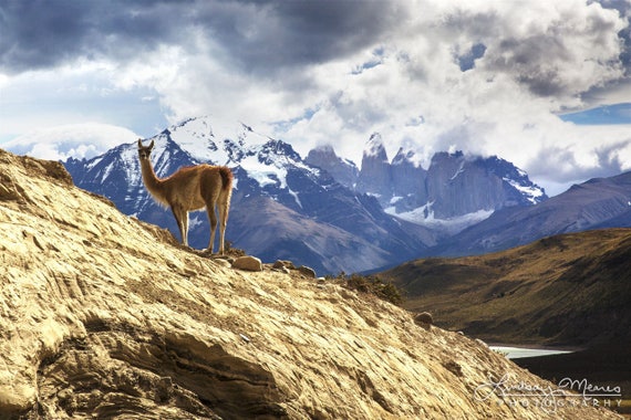 Patagonia Photo Set | 