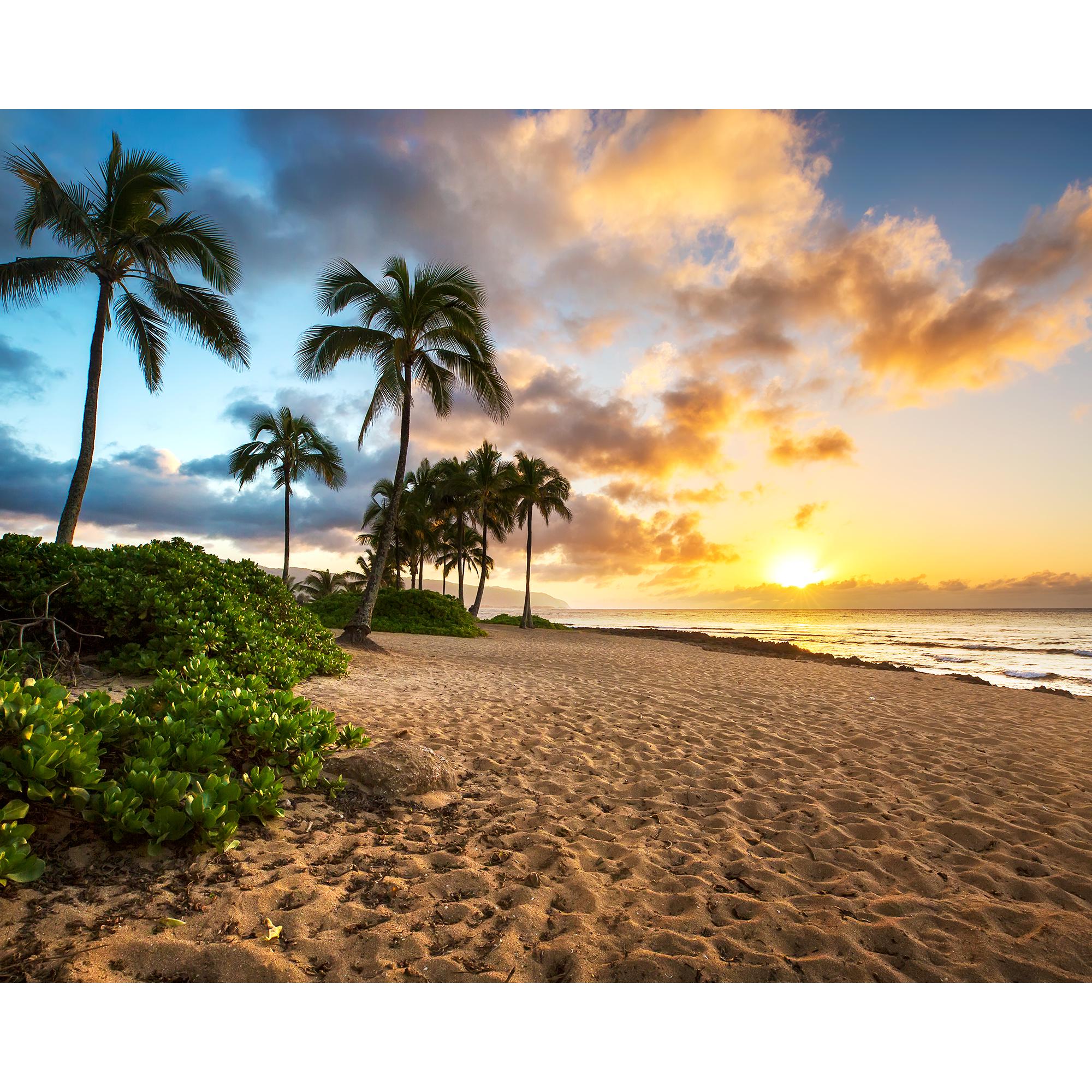 nani ahiahi ~Haleiwa beach パステル画 nani ahiahi ~Haleiwa beach パステル画 nani ahiahi ~Haleiwa beach